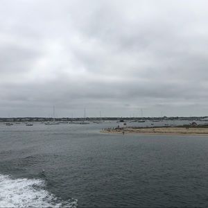 Meet your Posher, Carly